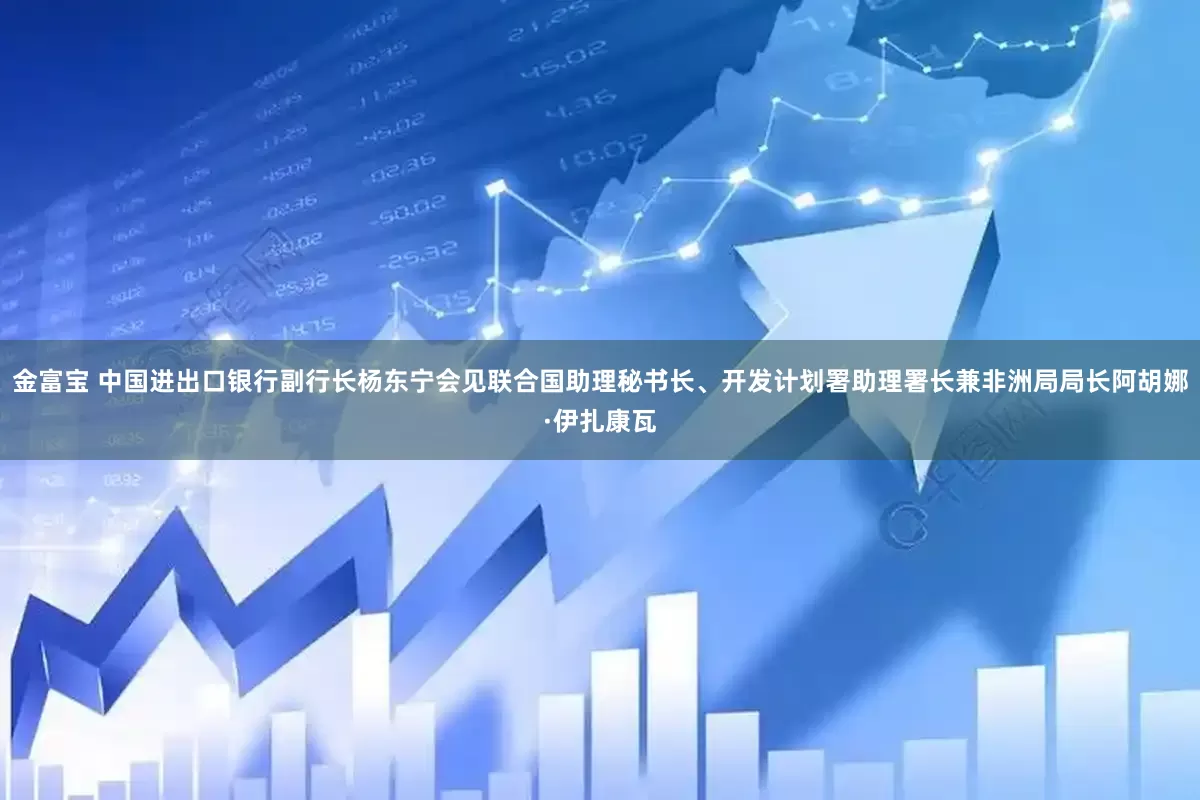 金富宝 中国进出口银行副行长杨东宁会见联合国助理秘书长、开发计划署助理署长兼非洲局局长阿胡娜·伊扎康瓦