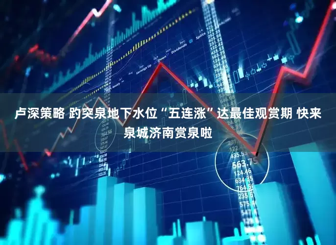 卢深策略 趵突泉地下水位“五连涨”达最佳观赏期 快来泉城济南赏泉啦
