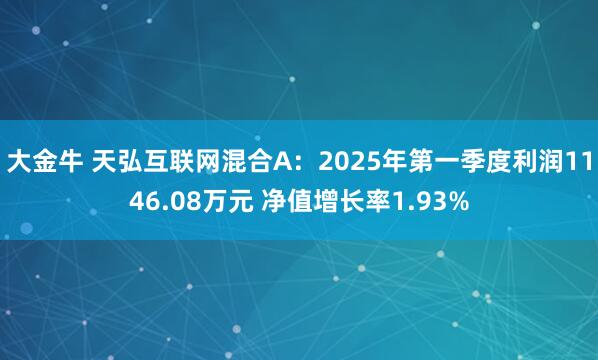 大金牛 天弘互联网混合A：2025年第一季度利润1146.08万元 净值增长率1.93%