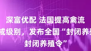 深富优配 法国提高禽流感警戒级别，发布全国“封闭养殖令”